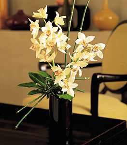  Bingl Glm iek iekiler  cam yada mika vazo ierisinde dal orkide