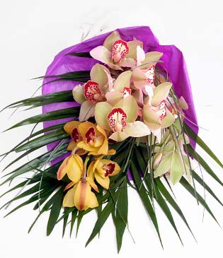  Bingl Glm iek cicekciler , cicek siparisi  1 adet dal orkide buket halinde sunulmakta