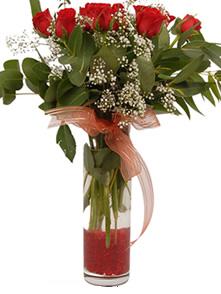 9 gül sevdiklerinize  Bingöl Gölüm Çiçek çiçek satışı  