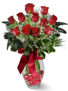 9 adet gül  Bingöl Gölüm Çiçek internetten çiçek satışı  kirmizi gül