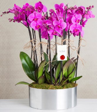 11 dall mor orkide metal vazoda  Bingl Glm iek iek gnderme sitemiz gvenlidir 