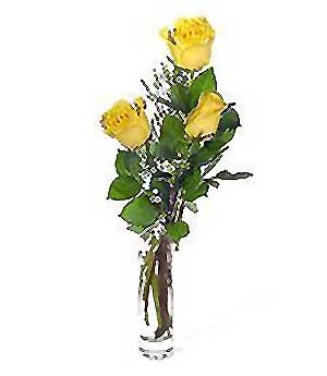  Bingöl Gölüm Çiçek internetten çiçek siparişi  3 adet kalite cam yada mika vazo gül