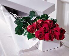  Bingöl Gölüm Çiçek çiçek satışı  özel kutuda 12 adet gül