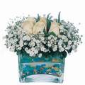 mika ve beyaz gül renkli taslar   Bingöl Gölüm Çiçek çiçek satışı 