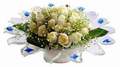 cam günes ve dolunay bembeyaz  Bingöl Gölüm Çiçek çiçek , çiçekçi , çiçekçilik 