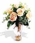  Bingöl Gölüm Çiçek çiçek siparişi sitesi  6 adet sari gül ve cam vazo