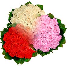 3 renkte gül seven sever   Bingöl Gölüm Çiçek çiçek , çiçekçi , çiçekçilik 