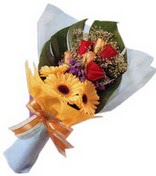 güller ve gerbera çiçekleri   Bingöl Gölüm Çiçek çiçek gönderme sitemiz güvenlidir 
