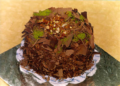 Çikolatali 4 ila 6 kisilik yas pasta  Bingöl Gölüm Çiçek çiçek gönderme sitemiz güvenlidir 