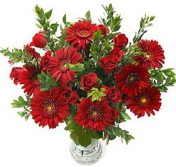5 adet kirmizi gül 5 adet gerbera aranjmani  Bingöl Gölüm Çiçek hediye çiçek yolla 