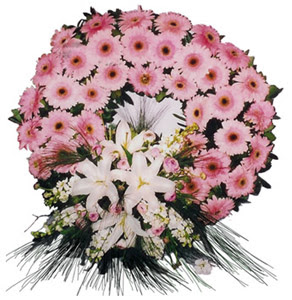 Cenaze çelengi cenaze çiçekleri  Bingöl Gölüm Çiçek çiçek siparişi vermek 