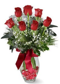  Bingöl Gölüm Çiçek internetten çiçek siparişi  7 adet kirmizi gül cam vazo yada mika vazoda