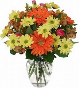  Bingöl Gölüm Çiçek hediye sevgilime hediye çiçek  vazo içerisinde karışık mevsim çiçekleri