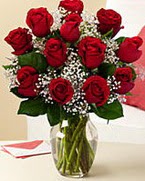 Sevgilime hediye 9 adet 1.ci kalite gül  Bingöl Gölüm Çiçek anneler günü çiçek yolla 