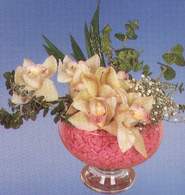  Bingöl Gölüm Çiçek çiçek mağazası , çiçekçi adresleri  Dal orkide kalite bir hediye