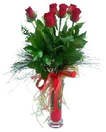 vazo içerisinde 5 kırmızı gül  Bingöl Gölüm Çiçek güvenli kaliteli hızlı çiçek 
