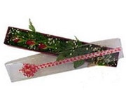  Bingöl Gölüm Çiçek hediye çiçek yolla  3 adet gül.kutu yaldizlidir.