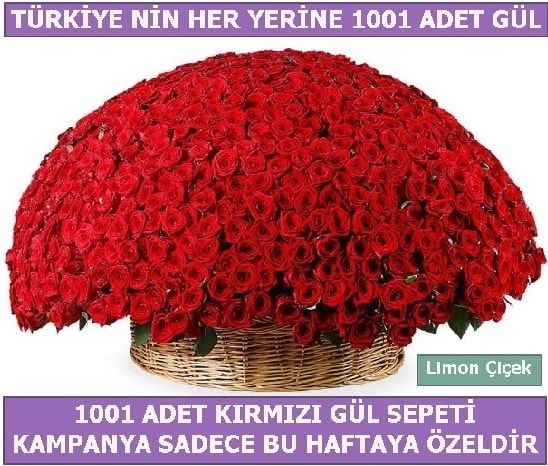 1001 Adet kırmızı gül Bu haftaya özel  Bingöl Gölüm Çiçek İnternetten çiçek siparişi 