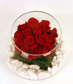 Cam fanusta 11 adet kırmızı gül  Bingöl Gölüm Çiçek çiçek gönderme 