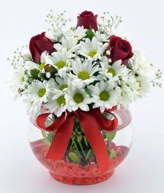Fanusta 3 Gül ve Papatya  Bingöl Gölüm Çiçek internetten çiçek satışı 