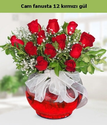 Cam içerisinde 12 adet kırmızı gül  Bingöl Gölüm Çiçek internetten çiçek satışı 